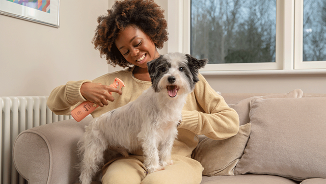 Quick Fix Spray Tørrsjampo 300 ml