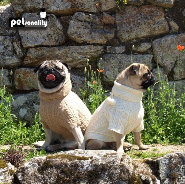 Petsonality Jersey Beige