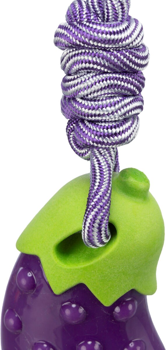 Aubergine on a Rope