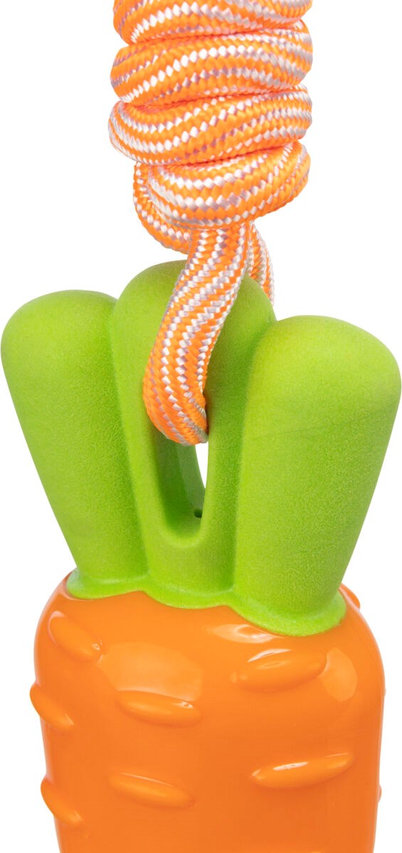 Carrot on a Rope