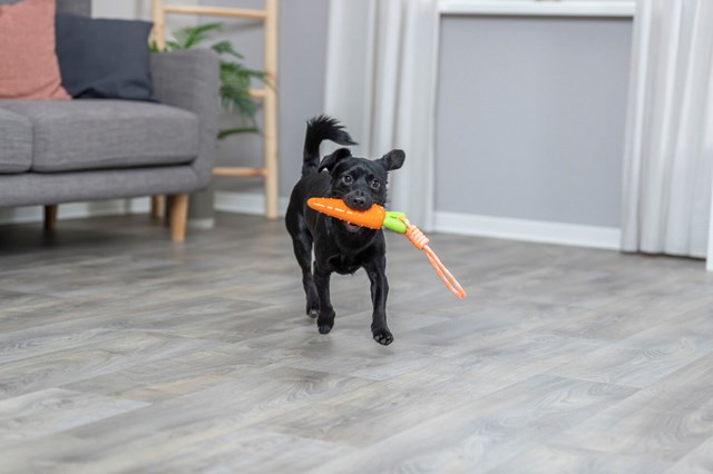 Carrot on a Rope