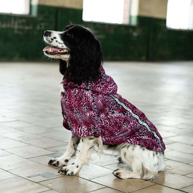 Pink Leopard Print Rainstorm Rain coat