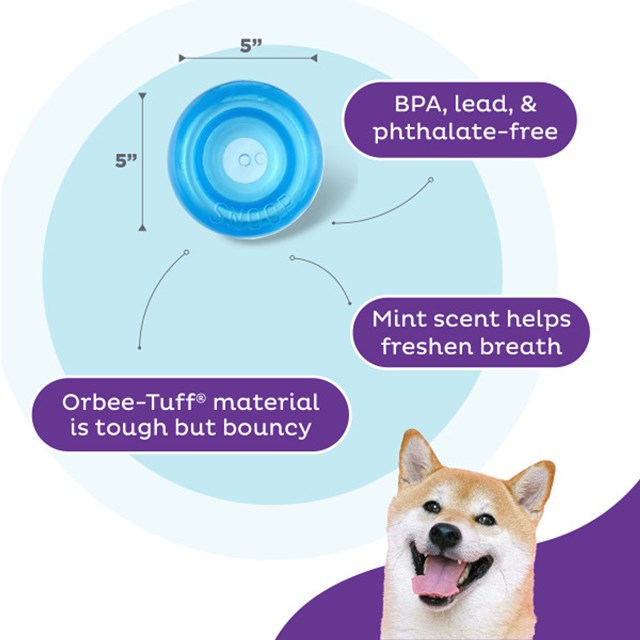 Planet Dog Snoop - Oransje