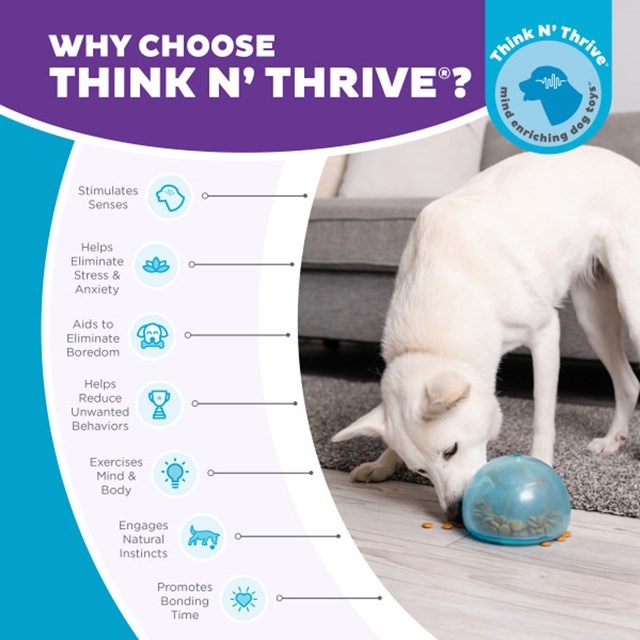 Planet Dog Snoop - Oransje