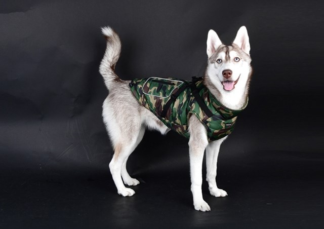 Pioneer Camo - Hundedekken med Integrert Sele