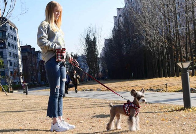 Neil Treat Bag - Vinrød