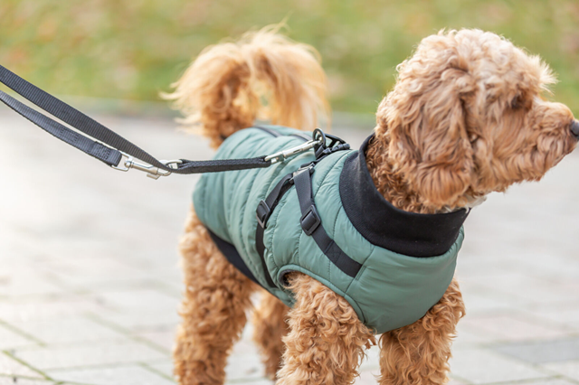 Pontis Hundedekke med integrert sele – Sage