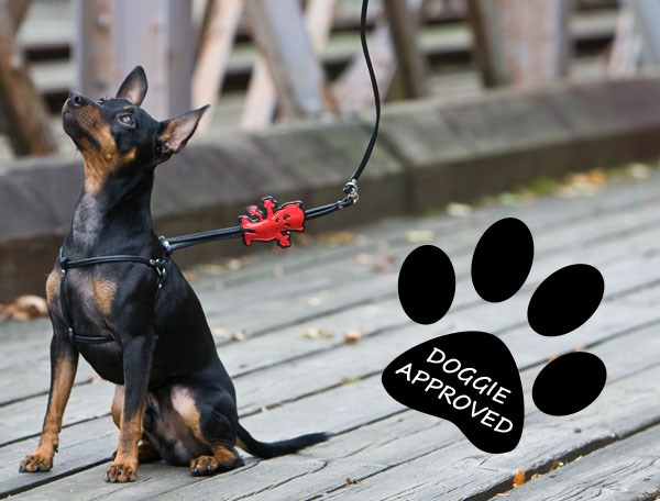 RED DEVIL Step-In Harness & Lead