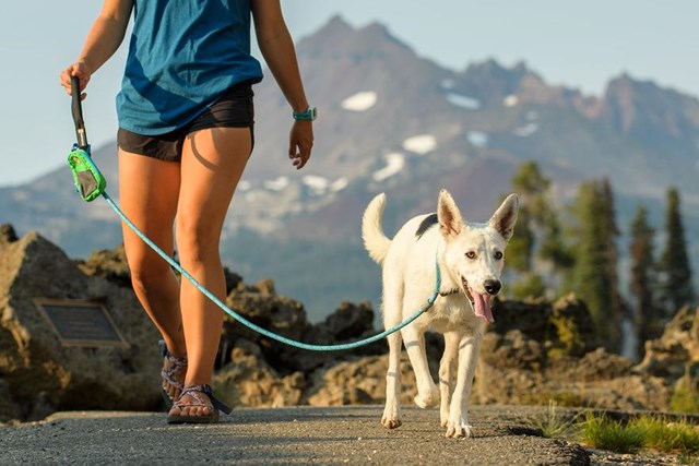 Just-a-Cinch Kobbel - Svart