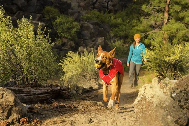 Turnup Kasteleke - Rød