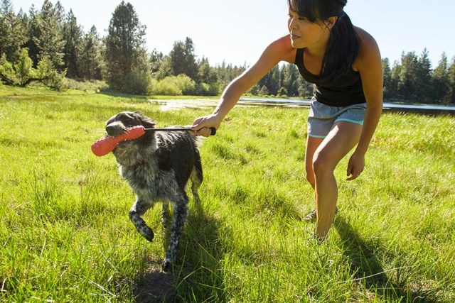 Gourdo Kasteleke - Gul