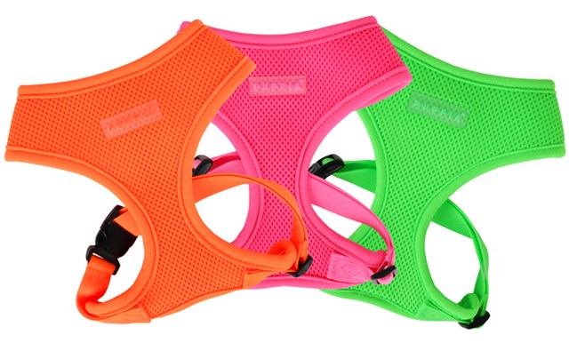 NEON SOFT Pink - Hundesele