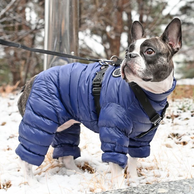 ULTRA LIGHT JUMPSUIT A NAVY VINTEROVERALL