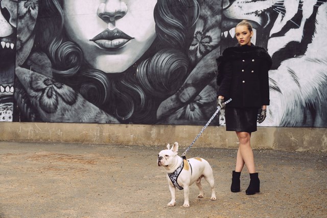 Urban Camouflage - Hundesele