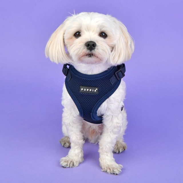 Ritefit Navy - Dog Harness