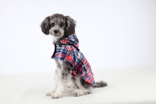 Barrington Navy - Regndekken