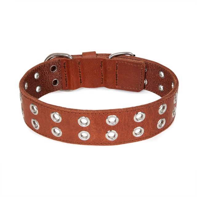 ROCK Brown - Lærhalsbånd