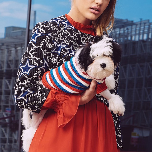 Red, White & Blue Striped Sweater