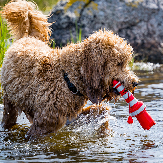 Rogz Lighthouse - Flytende Hundeleke
