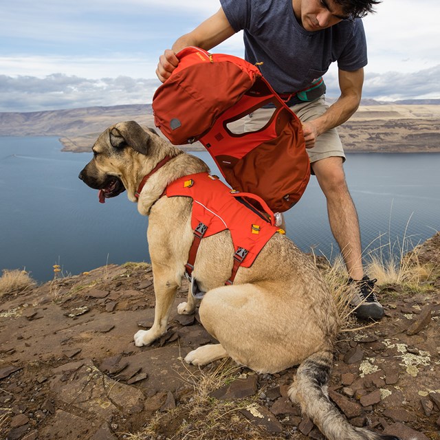Ruffwear Palisades Pack Hundekløv - Red Sumac