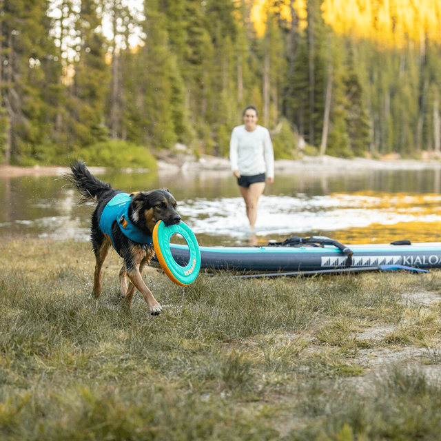Hydro Plane Flytende Hundeleke - Aurora Teal