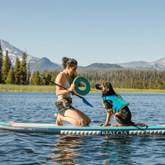 Hydro Plane Flytende Hundeleke - Aurora Teal