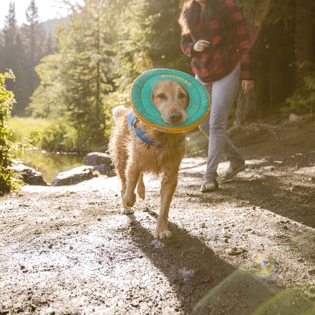 Hydro Plane Flytende Hundeleke - Aurora Teal