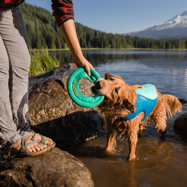 Hydro Plane Flytende Hundeleke - Aurora Teal