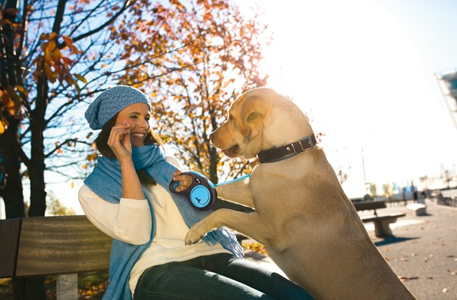 Flexi New Neon Kobbel Med Bånd 5 m - Blå