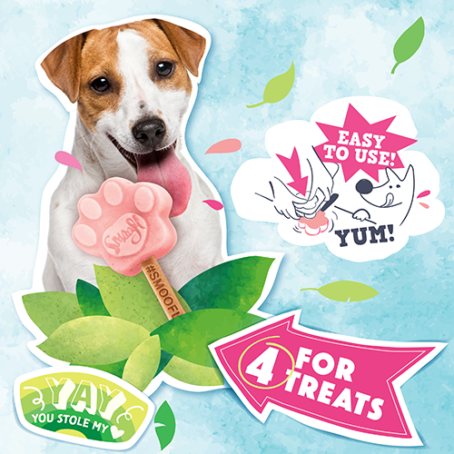 Smoofl Ice Cream Mould - Medium