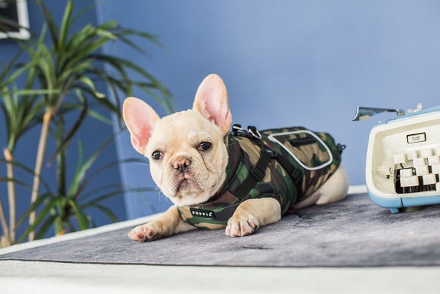 Pioneer Camo - Hundedekken med Integrert Sele