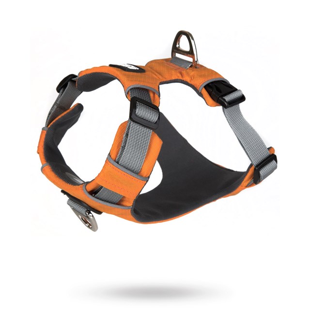 Safe-Walk Pro™ - Oransje Hundesele