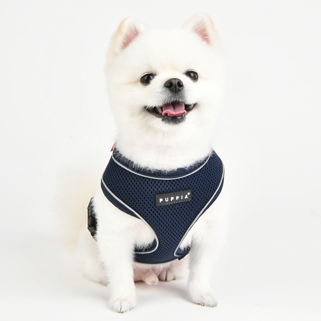 SOFT Harness A PRO Navy - Hundesele