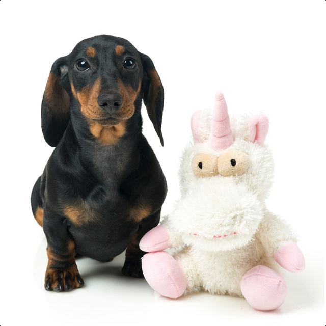 Myk Hundeleke - Electra The Unicorn