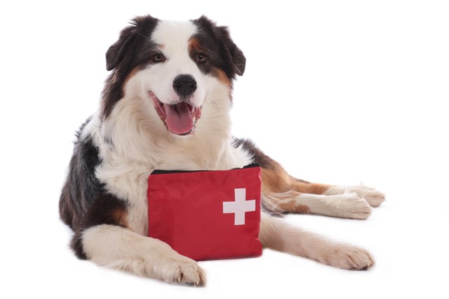 Trixie Førstehjelpskit