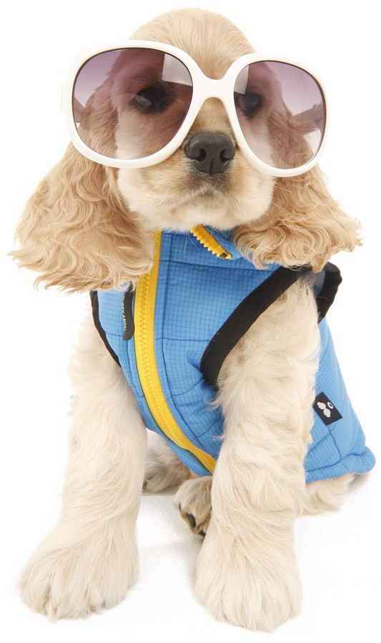 Signature Active Outdoor Vest - Yellow