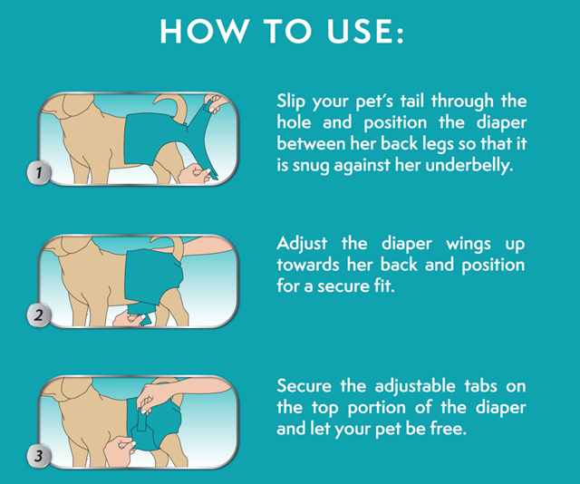 Vaskbar Tispetruse/Bleie - Turkis