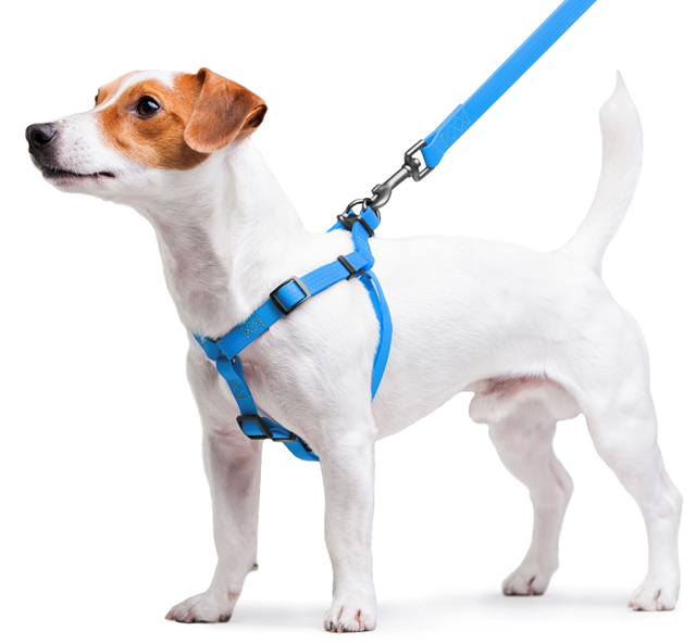 WAUDOG Vanntett Hundesele - Limegrønn