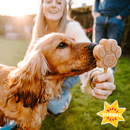 Smoofl Starter Kit - Hundeiskrem