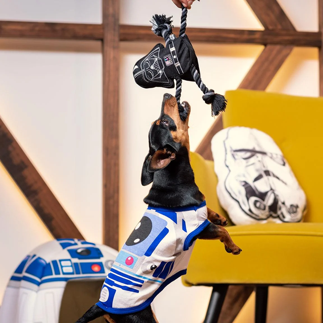 Darth Vader med tau