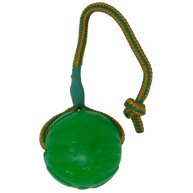 Starmark FunBall Med Tau Large