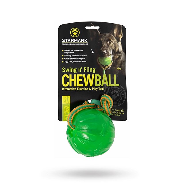 Starmark FunBall Med Tau Large