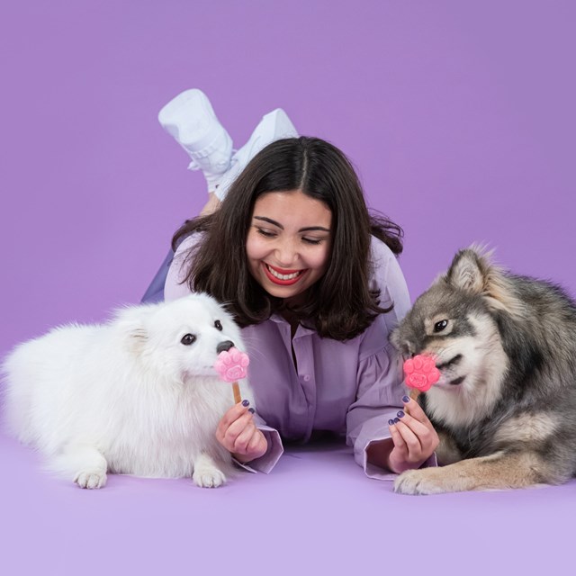 Smoofl Silikonform FOR hundeis - Ekstra small