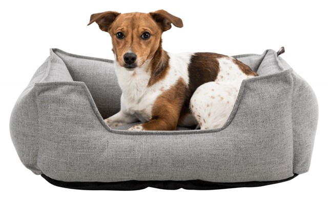 Talis Hundeseng - Grå