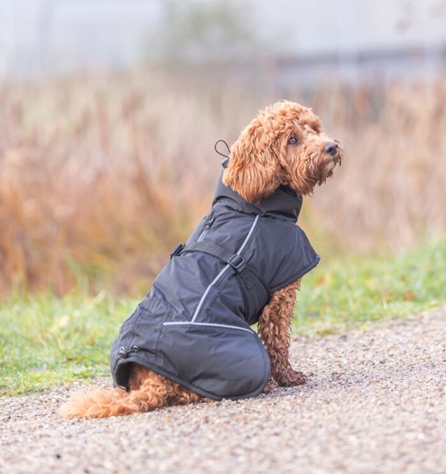 Trixie Brizon Vinterdekken - Svart