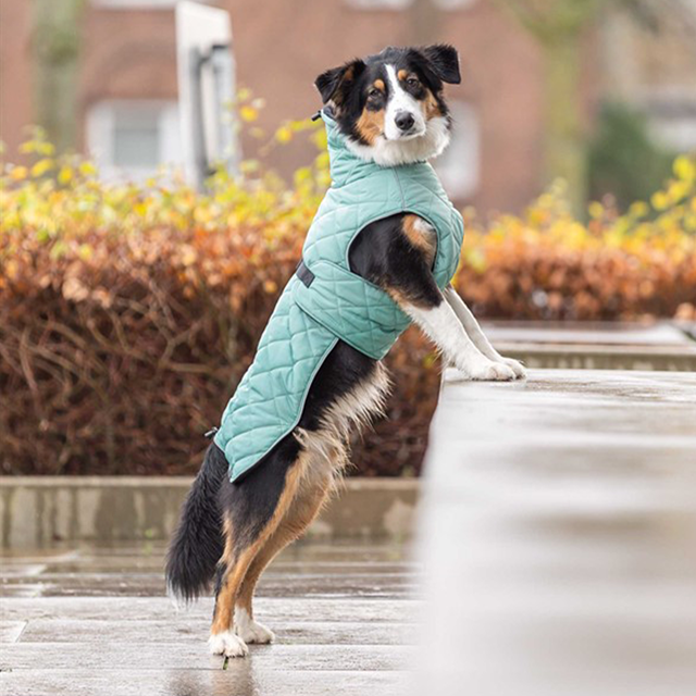 Trixie CityStyle Oslo Hundedekken - Jade