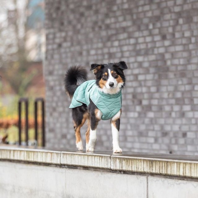 Trixie CityStyle Oslo Hundedekken - Jade