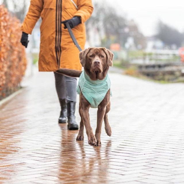 Trixie CityStyle Oslo Hundedekken - Jade