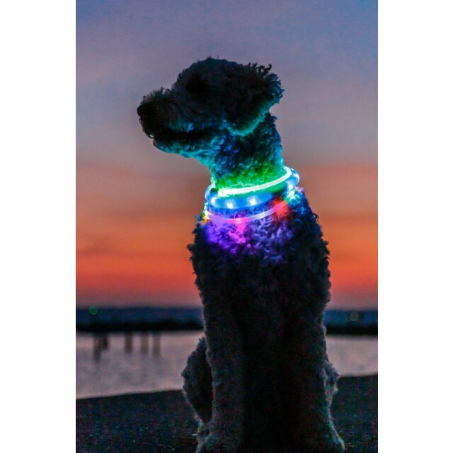 Trixie Flash Light Ring USB - Rød