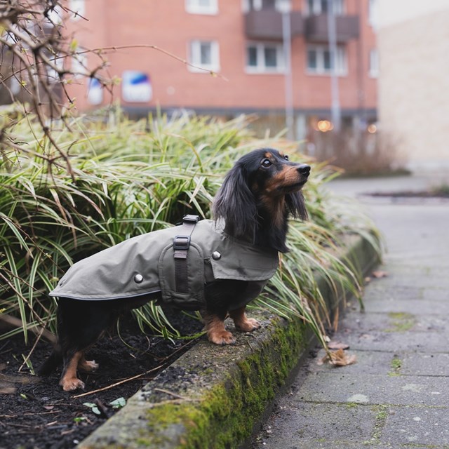Trixie Hermy Olivengrønn 28 cm